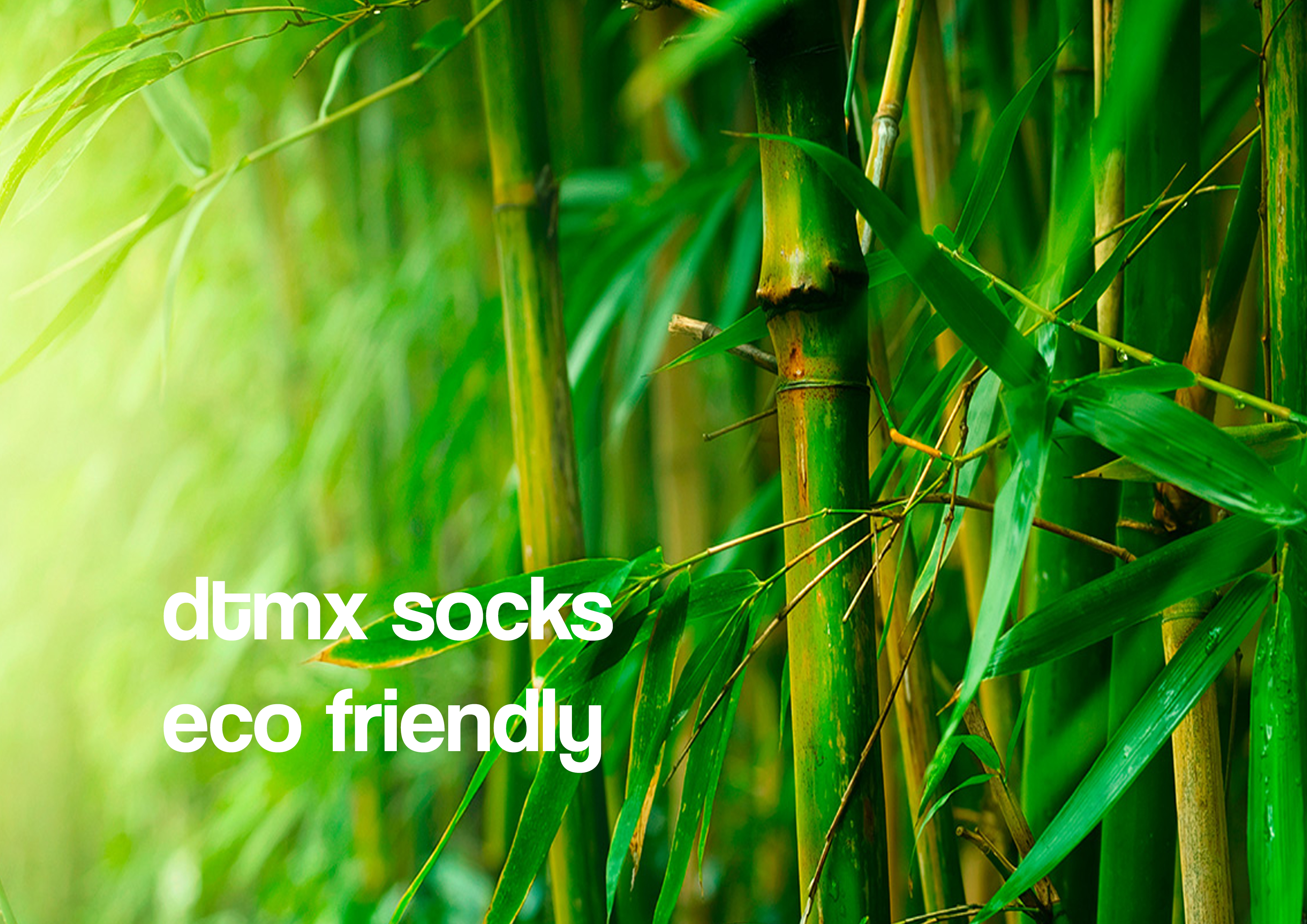 Eco-Friendly Socks. Bamboo Socks. Sustainable Fashion. Ethical Fashion