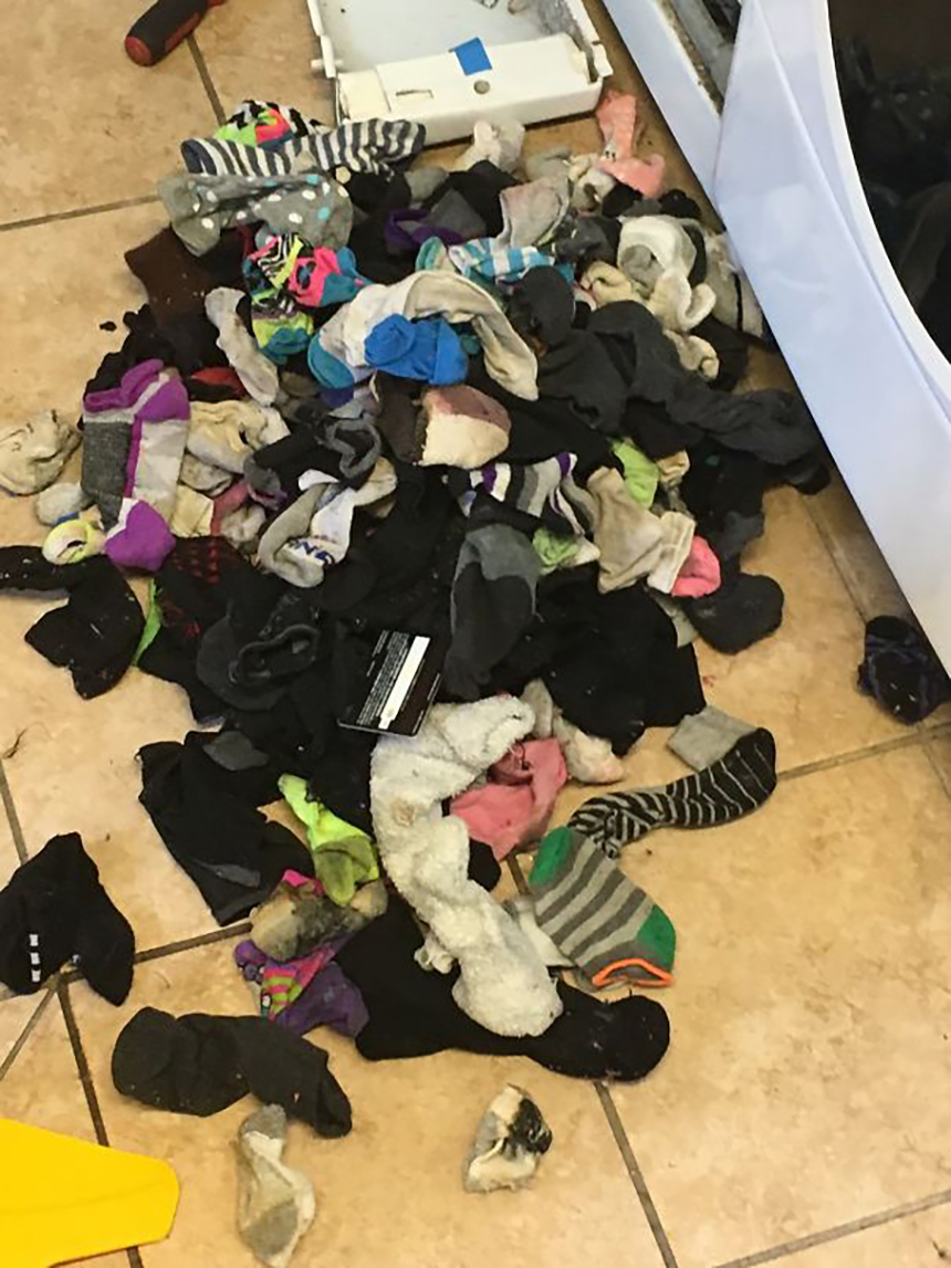Lost socks laundry socks monster